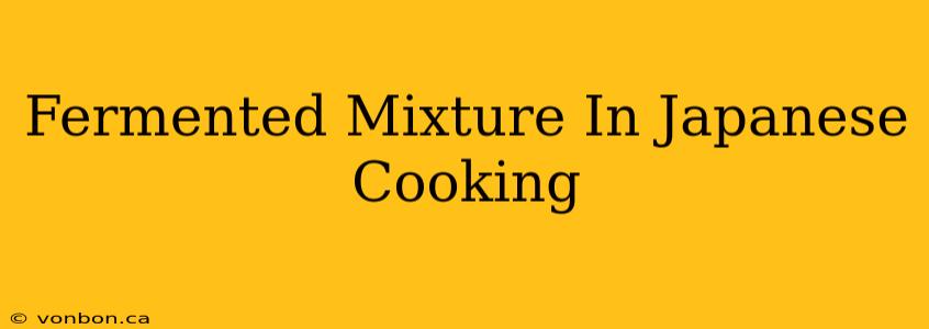 Fermented Mixture In Japanese Cooking