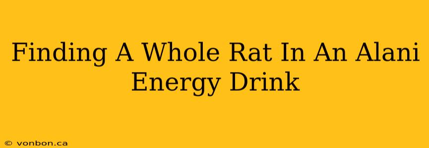 Finding A Whole Rat In An Alani Energy Drink