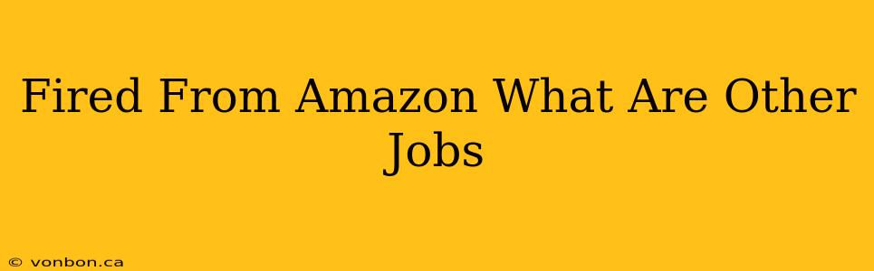 Fired From Amazon What Are Other Jobs