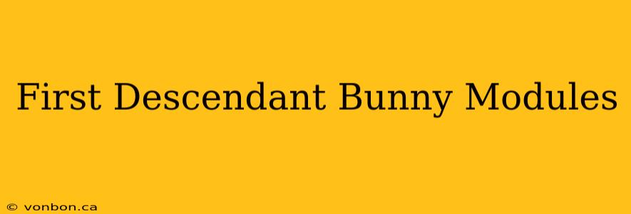 First Descendant Bunny Modules