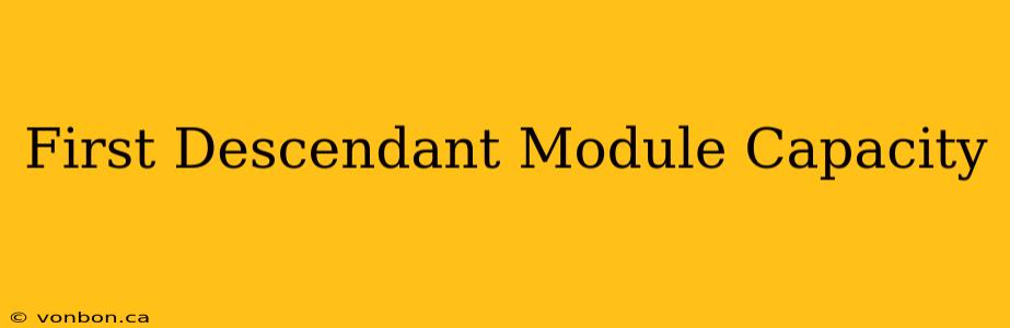 First Descendant Module Capacity