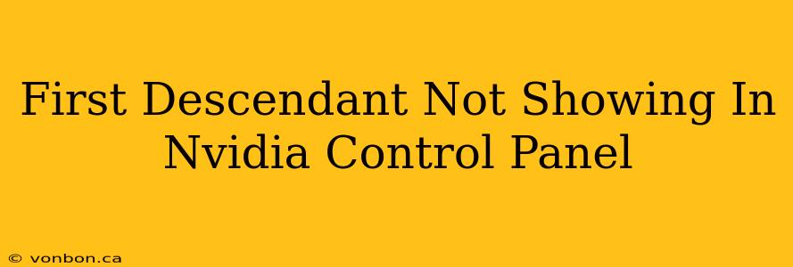 First Descendant Not Showing In Nvidia Control Panel