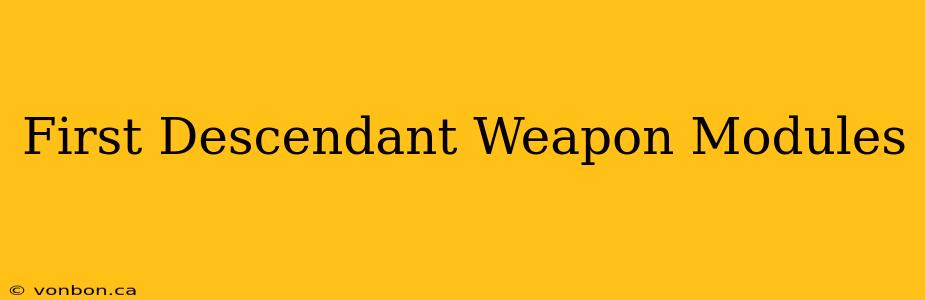 First Descendant Weapon Modules