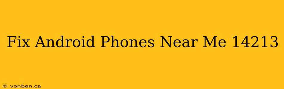 Fix Android Phones Near Me 14213