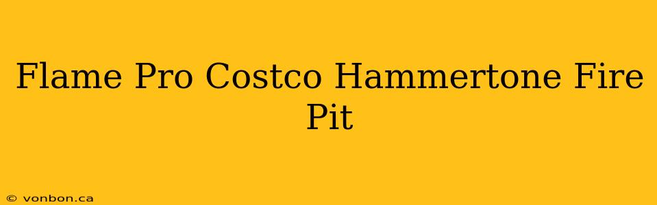 Flame Pro Costco Hammertone Fire Pit