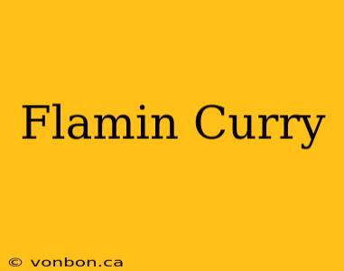 Flamin Curry