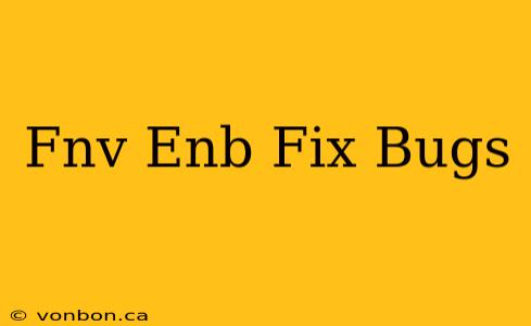 Fnv Enb Fix Bugs