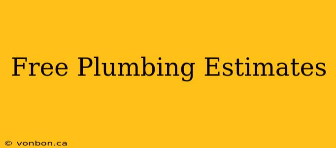 Free Plumbing Estimates