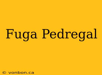 Fuga Pedregal