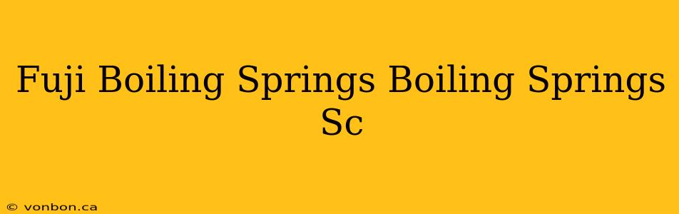 Fuji Boiling Springs Boiling Springs Sc