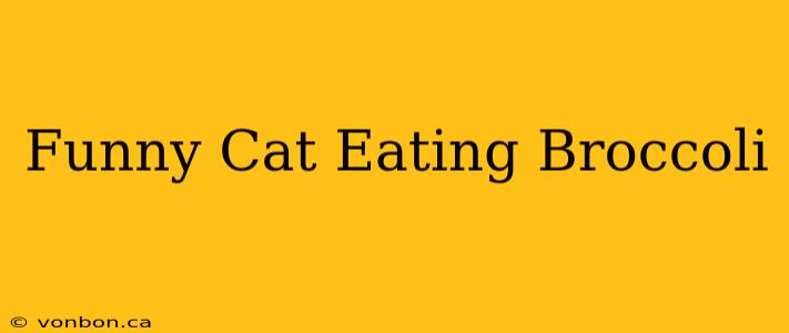 Funny Cat Eating Broccoli