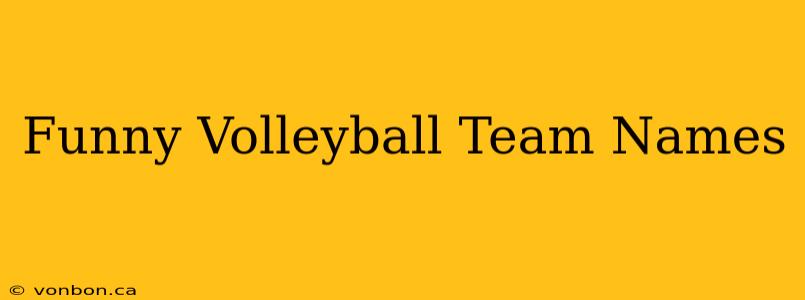 Funny Volleyball Team Names