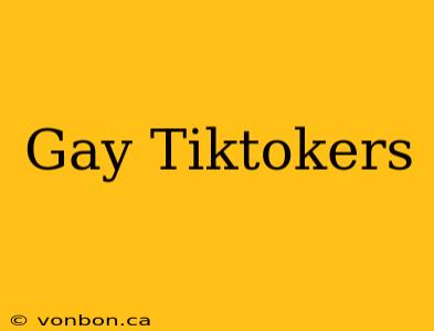 Gay Tiktokers