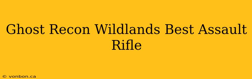 Ghost Recon Wildlands Best Assault Rifle