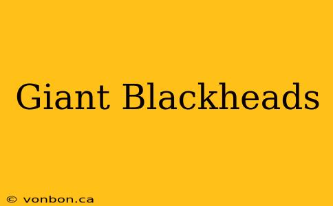 Giant Blackheads