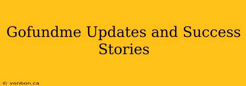 Gofundme Updates and Success Stories