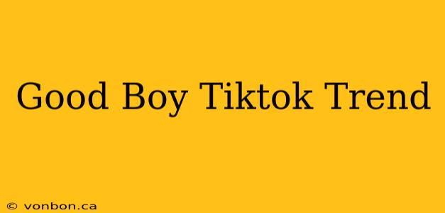 Good Boy Tiktok Trend