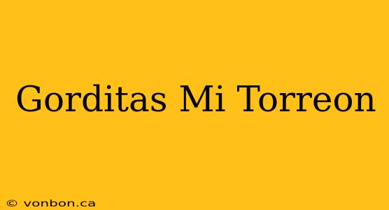 Gorditas Mi Torreon