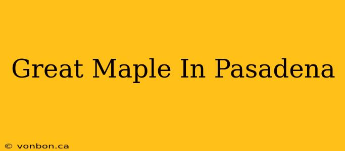 Great Maple In Pasadena