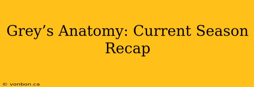Grey’s Anatomy: Current Season Recap