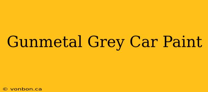 Gunmetal Grey Car Paint