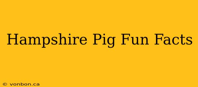 Hampshire Pig Fun Facts