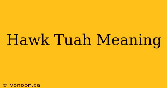 Hawk Tuah Meaning