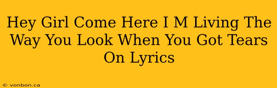 Hey Girl Come Here I M Living The Way You Look When You Got Tears On Lyrics