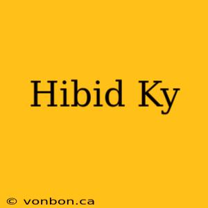 Hibid Ky