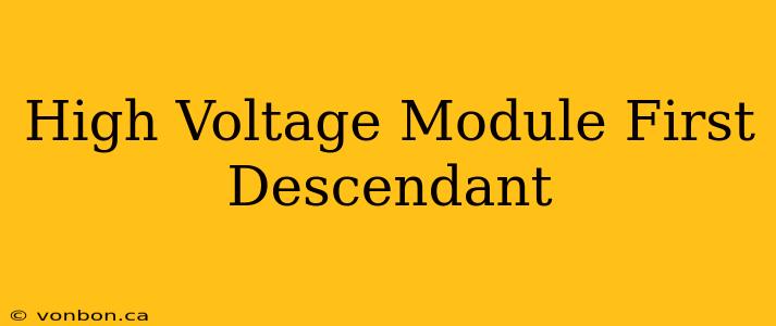 High Voltage Module First Descendant