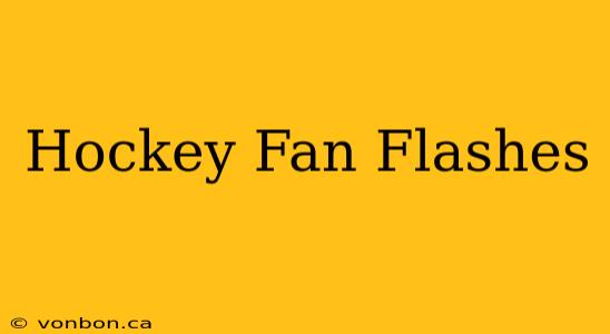 Hockey Fan Flashes