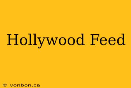 Hollywood Feed