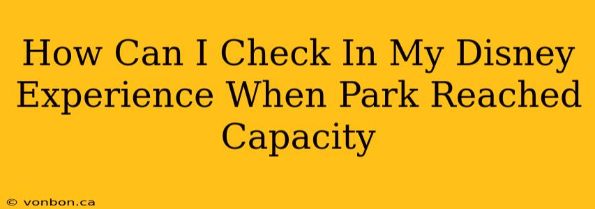 How Can I Check In My Disney Experience When Park Reached Capacity