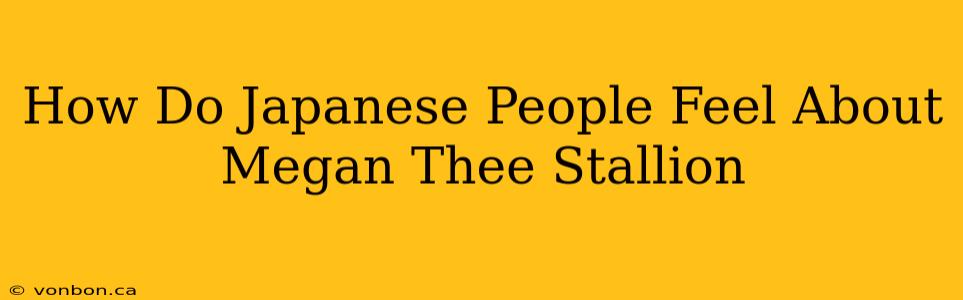 How Do Japanese People Feel About Megan Thee Stallion