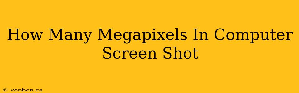 How Many Megapixels In Computer Screen Shot