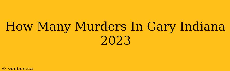 How Many Murders In Gary Indiana 2023