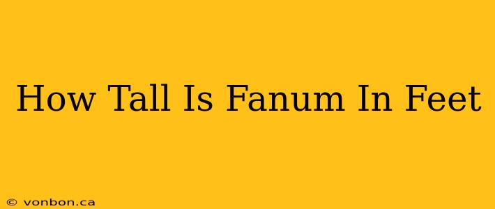 How Tall Is Fanum In Feet