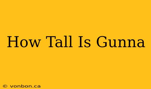 How Tall Is Gunna