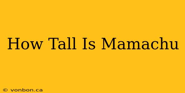 How Tall Is Mamachu