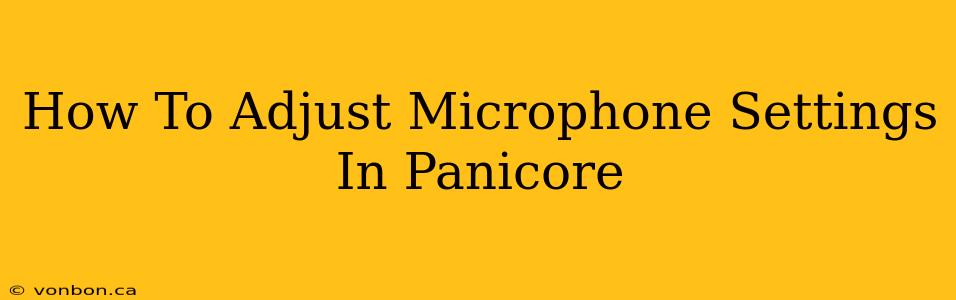 How To Adjust Microphone Settings In Panicore