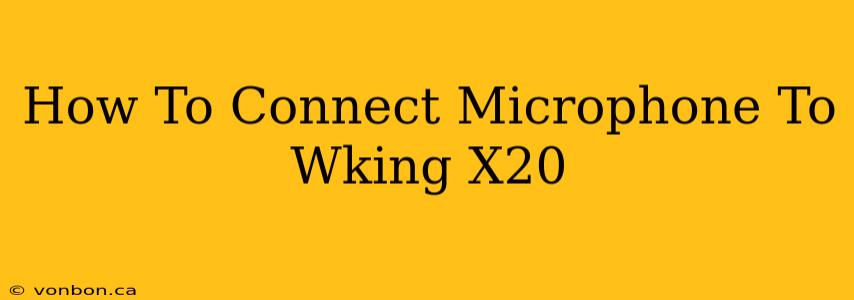 How To Connect Microphone To Wking X20