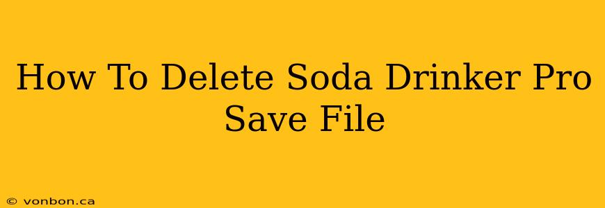 How To Delete Soda Drinker Pro Save File