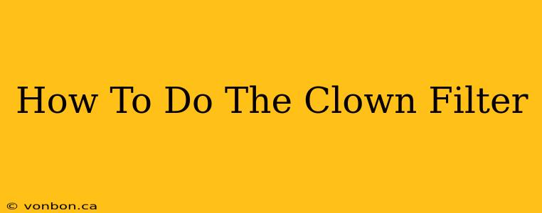 How To Do The Clown Filter