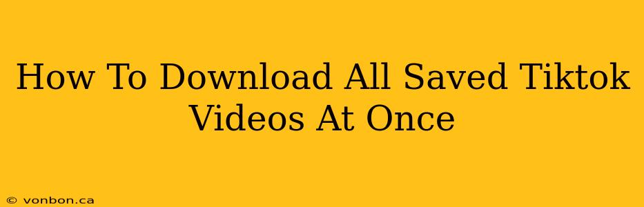 How To Download All Saved Tiktok Videos At Once