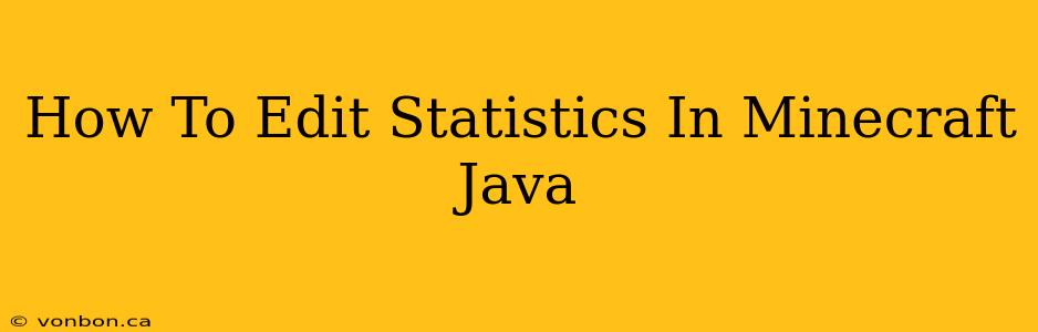 How To Edit Statistics In Minecraft Java