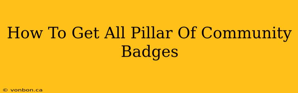 How To Get All Pillar Of Community Badges