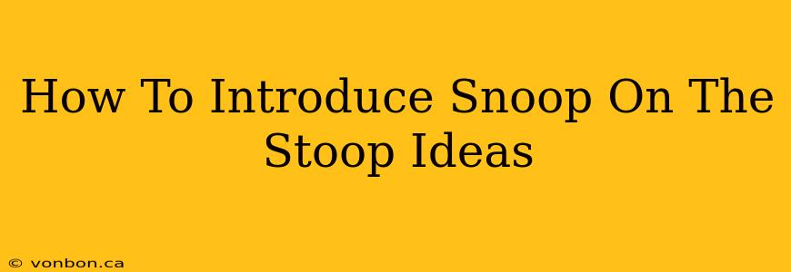 How To Introduce Snoop On The Stoop Ideas