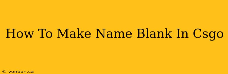 How To Make Name Blank In Csgo