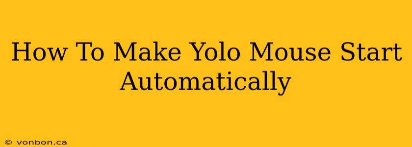 How To Make Yolo Mouse Start Automatically