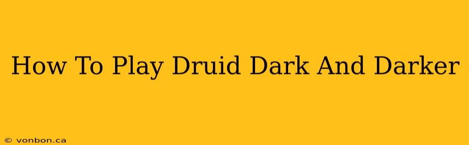 How To Play Druid Dark And Darker